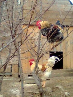Agriturismo Ca Del Buco * Monte San Giovanni (Bologna)