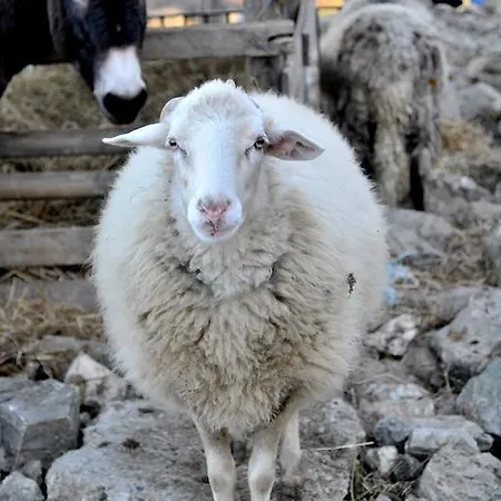 Agriturismo Ca Del Buco